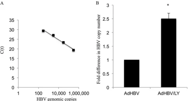 FIG 4 Inhibition of the AKT pathway does not inhibit HBV secretion. (A) Standard curve showing the change in CT values with increasing numbers of HBVgenomic copies