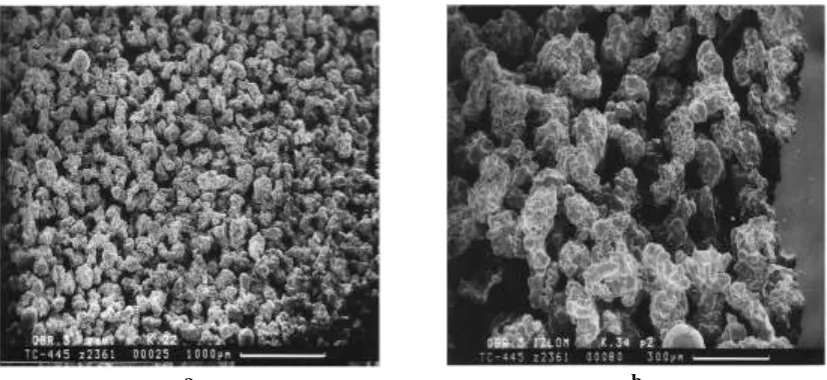 Figure 5: SEM images of sintered copper powder structure (a) and (b) with different pore sizes