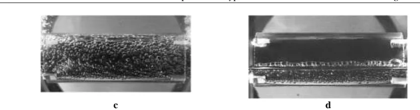 Figure 10:  Heat transfer intensity along the evaporator as the function of the height H of the liquid inside the annular mini gap: 1–5) – H = 70, 2, 1.5, 1, and 0.5 mm correspondingly