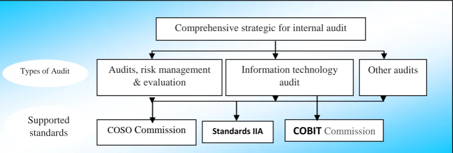 Figure 1. Types of internal audit to achieve a comprehensive strategy 