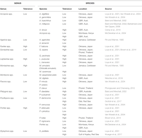 TABLE 2 | Examples of coral genera and species reported to have high or low thermal tolerance.