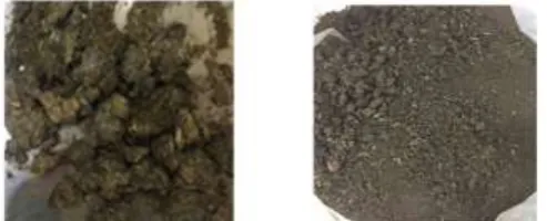 Fig. 1. Photograph of dried cow manure sample  