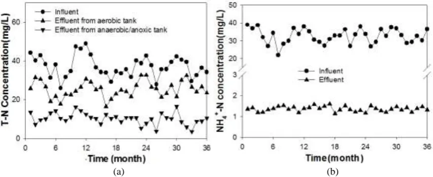 Figure 8: The influent and effluent concentrations of T-N (a) and NH4+-N (b) in the aerated constructed wetland 