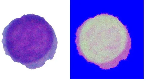Fig 2: Conversion from RGB color space to HSV color space  