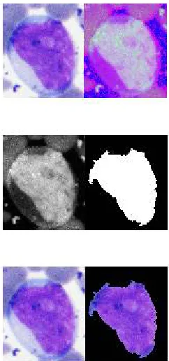 Fig 8: Complete process in Steps  