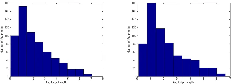 Figure 5.2.6 Average edge length of cracks in two dense rock crack images is comparable or similar