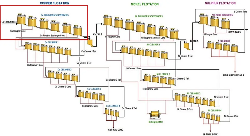 Figure 2. Process Diagram with scope of the study in copper rougher flotation. 