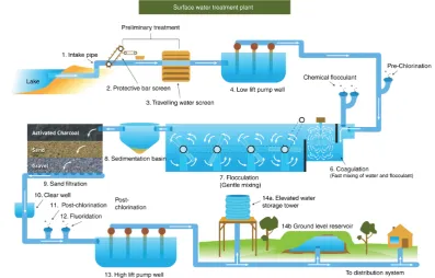 Figure 1: How scientists work together. Figure 1 was created by Katherine Harris.