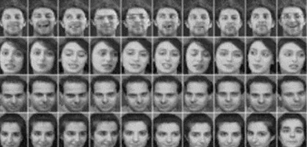 Figure 21. Fingerprint Image Datasets 