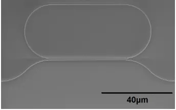 Fig. 1. SEM image of a single all pass ring resonator.