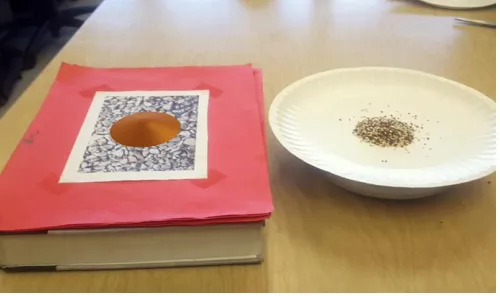 Figure 7. Visualization of volume of quinoa. This figure shows the spatial visualization of the volume of the 