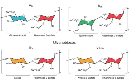 Fig. 1. Nomenclature and structure of the major repeating disaccharide units that comprise ulvan