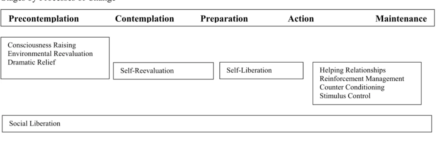Table 1 presents definitions of the processes of change. 