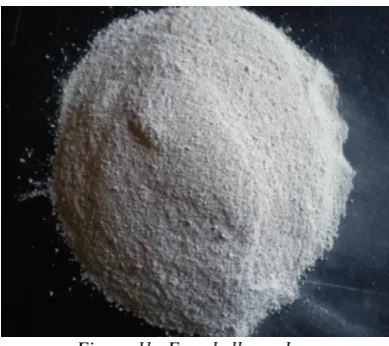 Figure 1a: Egg shell  