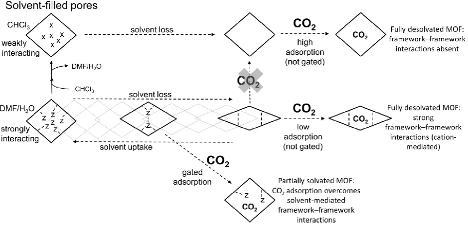 Figure 6 | Proposed role of guest-framework interactions in the solvent-dependent continuous breathing properties of SHF-61