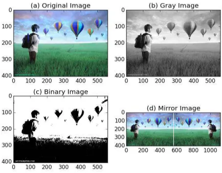 Fig.3 (a) Object Image (b) Binary Image(c) Grayscale Image (d) Mirror Image 