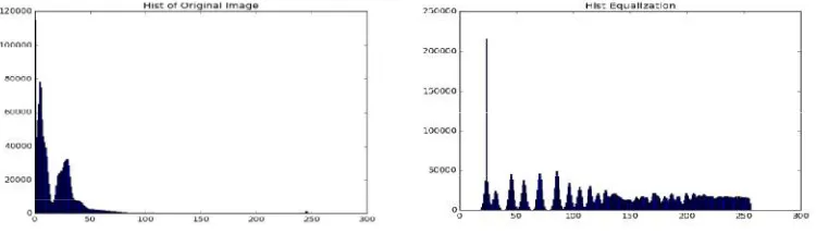 Fig.5 (a) Histogram Object Image                                                    Fig.5 (b) Histogram Equalized Image 