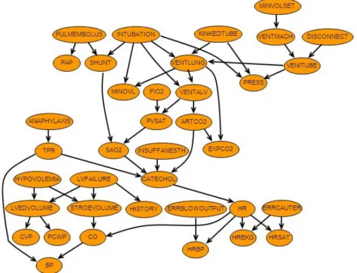 Figure 22: An illustration of the 37 variable ICU alarm network. Adapted from Beinlich et al.