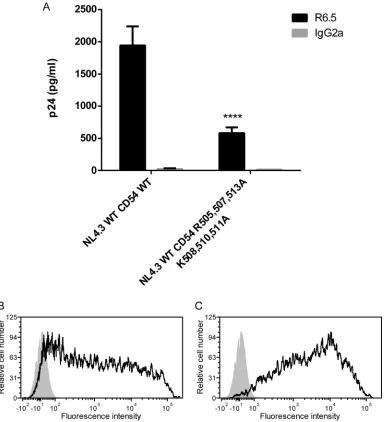 FIG 9 Immunocapture of NL4.3 WT virus produced in 293T cells transiently expressing wild-type or mutated ICAM-1
