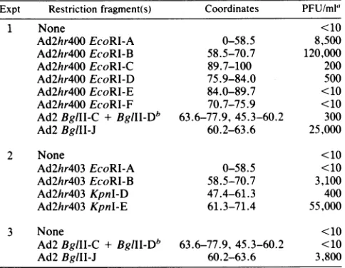 TABLE 2. Complementation between adenovirus mutants inHeLa cells at 39.5°C