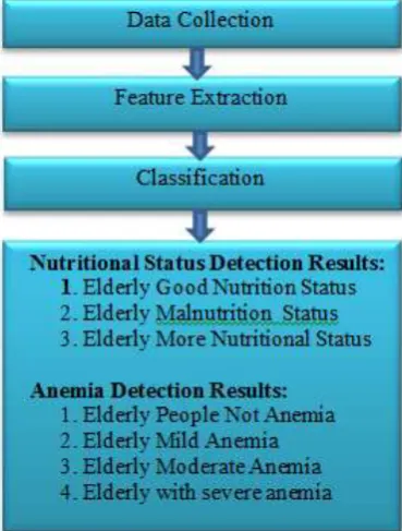 Figure 1.  Stages of Methods for Detecting Elderly Nutritional Status 