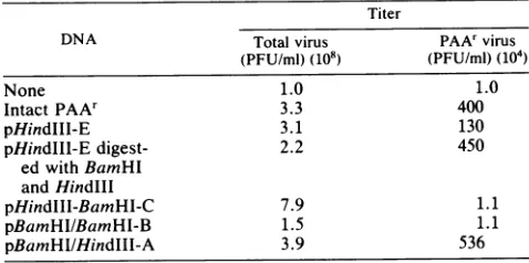 TABLE 1. Conditions for rescue of the PAA' marker by PAA'virus