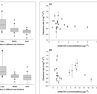 FIGURE 8 | Mesozooplankton clearance rates on total phytoplanktonrespectively; Small:respectively) at the two stations EO and WE