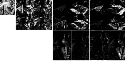 Figure 3.1: Contourlet transform of the Barbara image. The image is decomposed into two pyramidal levels, which are then decomposed into four and eight directional subbands