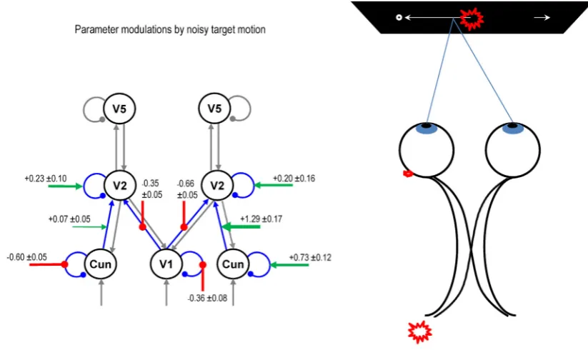 Fig. 8. Modelling grand averaged data with the winning model. The left panel displays the posterior expectations of the modulation (log scaling) of the self- and forward connectivity byits image is concentrated in the right heminoisy target motion in the w