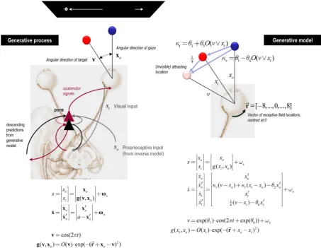 Fig. 1. Generative process and generative model used to simulate oculomotor pursuit. This schematic illustrates the process (left panel) and generative model of that process (right panel)occluded and 1 otherwise