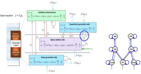 Fig. 4. Canonical microcircuit (CMC) model for DCM and connections modulated by stimulus noise