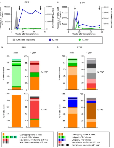 FIG 2 Longitudinal analysis of IL-7Rcolor, as indicated on the ﬁgure. Different colors within a tonal group represent different clones