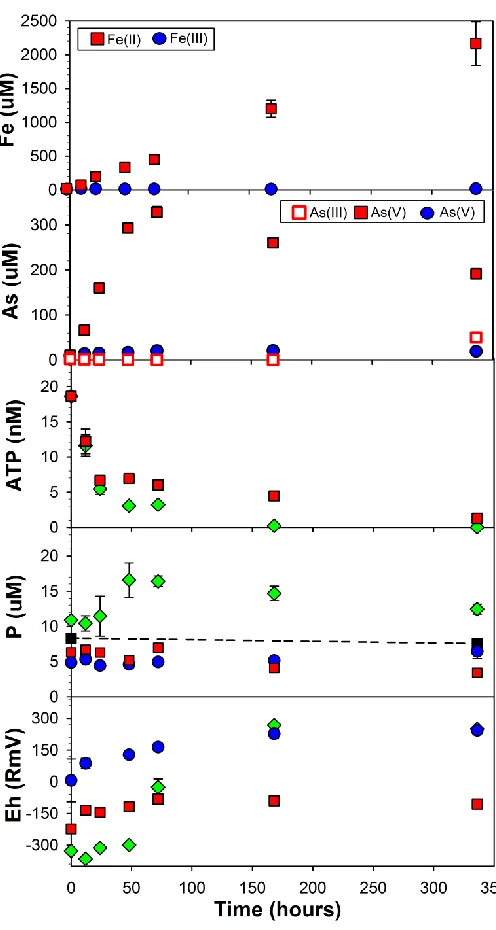Figure 3.1. Redox potential, ATP concentrations and release of aqueous Fe (II/III), 