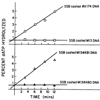 FIG. 4.40,000WhatmanatbufferfinalTENCNbufferafterbuffer,incubationincubationpresencewith595in -20°C vivo Effect of rifampin (rifampicin) on parental RF formation by M134¢X80 and M134X81