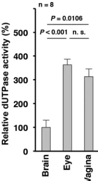 FIG 2assayed for dUTPase activity. Each value is the mean16), the brains, eyes, and vaginas from eight 3-week-old femalemice, 5-week-old female mice, and 5-week-old female mice pretreated withexpressed relative to the mean dUTPase activity from brains, whi
