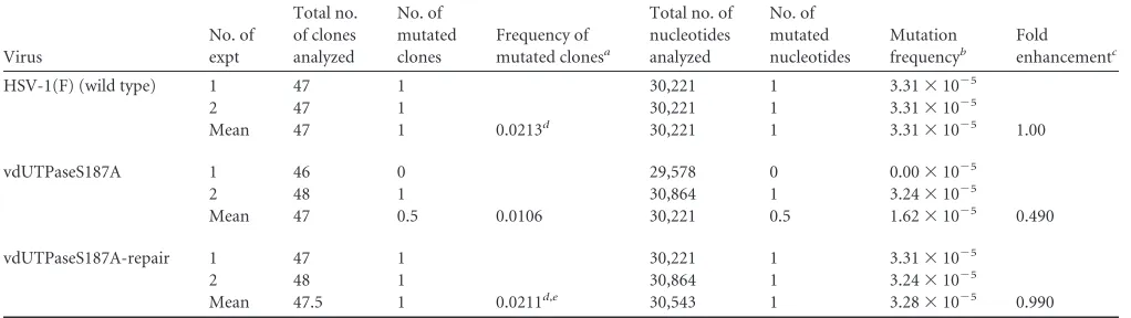 TABLE 1 Sequence analysis of progeny HSV-1 genomes in sh-hDUT-HEp-2 cells