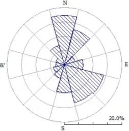 Figure 2. Wind rose.