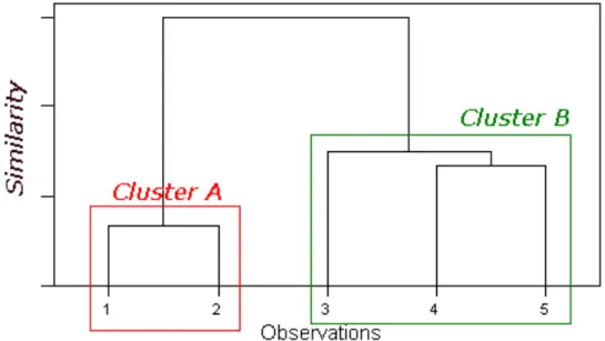 Figure 12 A dendrogram showing two distinct clusters (Manchester Metropoliton University, ) 