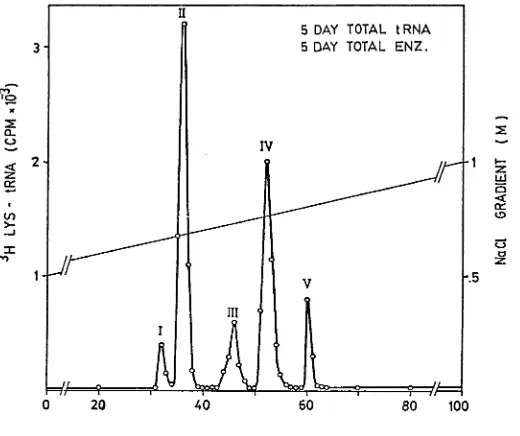Figure 1 - RPC-5 Fractionation of total cell tRNA^^^ aminoacylated with 