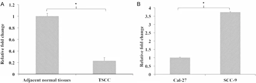Figure 2. The mRNA expression of LncRNA AC007392.4 after transfection was performed by QRT-PCR analysis