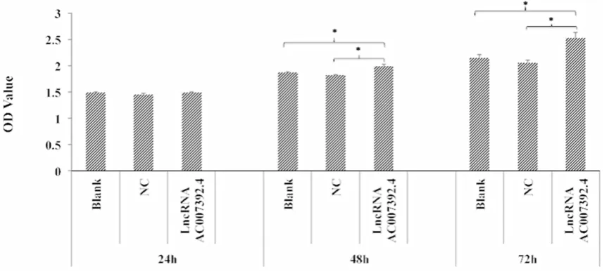 Figure 3. LncRNA AC007392.4 overexpression showed higher growth rate compared with the NC and Blank groups at 48 h and 72 h (F*Effect of LncRNA AC007392.4 overexpression on Cal-27 cells proliferation was performed by MTT assay