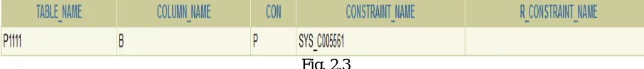 Fig. 2.3  Information about Primary key 