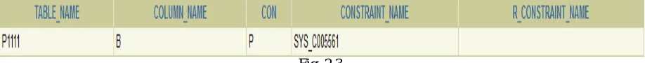 Fig. 2.3  Information about Primary key 