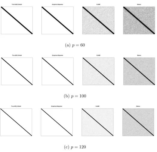 Figure 2.4: AR(1) Model. Heatmaps of the frequency of the zeros identified for each entry of Ω out of 100 replications