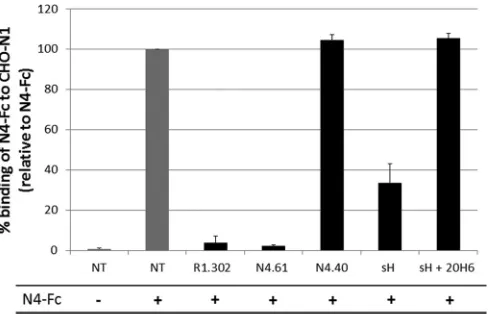 FIG 6 MeV H prevents nectin-4/nectin-1 heterodimer formation. Binding of
