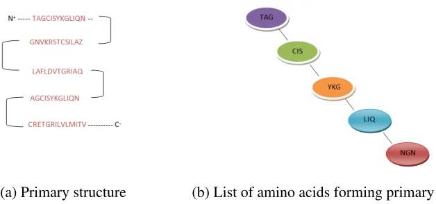 Figure 2.2: Representation of the secondary structure of PDB ID 1ava, a non-obligate com-plex, showing an alpha helix and a beta sheet which are the main components