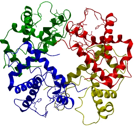 Figure 2.4: Quaternary structure of PDB ID 1a3n, hemoglobin, consisting of Chains A,B, C and D respectively