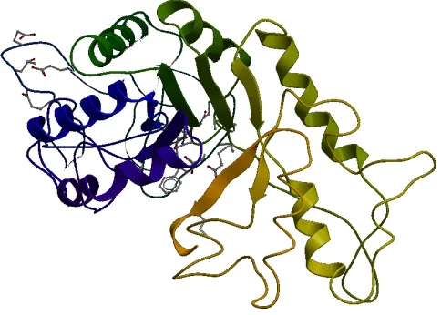 Figure 2.6: Representation of domains in complex PDB ID 1ava (chain A).