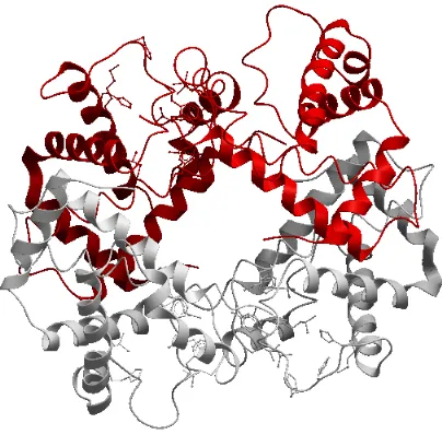 Figure 2.8: Homo-oligomer complex PDB ID 2gbl.