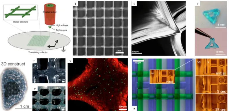 Fig. 1: Biomaterials for use in 3D bioprinting. (A-C) Highly organized microfibers  leaving only the Silk:Glycerol strands